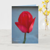 Het kleurenrood kaart (Gele Bloem)