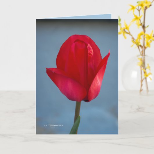 Het kleurenrood kaart (Gele Bloem)