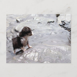 Het klimmende Briefkaart