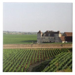 Het klooster Clos de Vougeot uit de 16e eeuw en Tegeltje