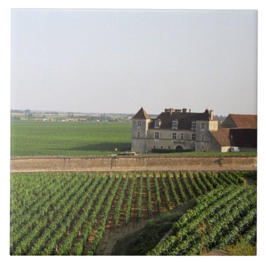 Het klooster Clos de Vougeot uit de 16e eeuw en Tegeltje (Voorkant)