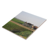 Het klooster Clos de Vougeot uit de 16e eeuw en Tegeltje (Zijkant)