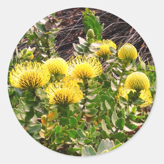 Het knikken speldenkaartje Gele vogel #1Sticker Kl Ronde Sticker (Voorkant)