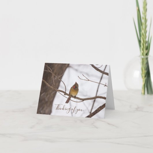 Het knipperen zegt opnieuw dat mevrouw Kardinaal d Kaart (Voorkant)