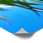 Het Koala-Beer Poster (Hoek)