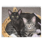 Het koesteren rond de Stem van de Muur van 2008 Ca Kalender (Hoes)