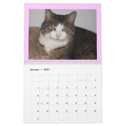 Het koesteren rond de Stem van de Muur van 2008 Ca Kalender (Jan 2027)