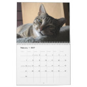 Het koesteren rond de Stem van de Muur van 2008 Ca Kalender (Feb 2027)