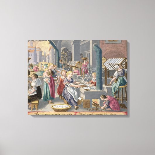 Het koken van de cocons om de chrysaliden te verni canvas afdruk (Voorkant)