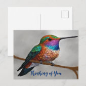 Het kolibrie schilderij van Allen Briefkaart (Voorkant / Achterkant)