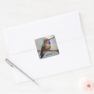 Het kolibrie schilderij van Allen Vierkante Sticker