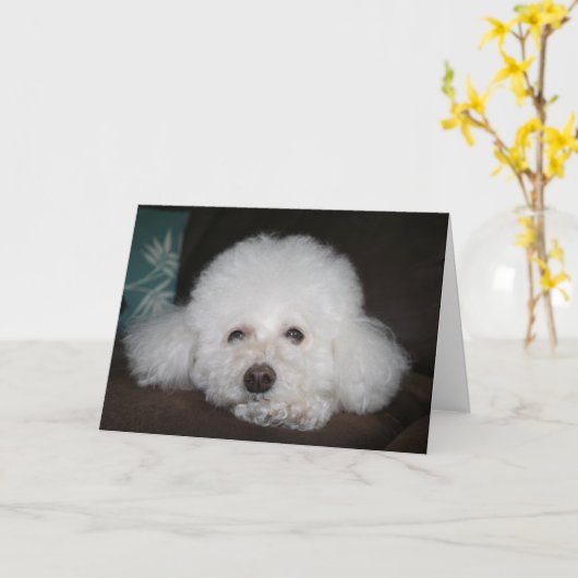 Het komt goed Hond Kaart (Gele Bloem)