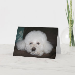 Het komt goed Hond Kaart