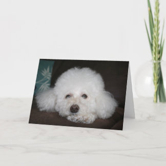 Het komt goed Hond Kaart