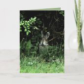 Het Konijn van de broer Kaart (Voorkant)