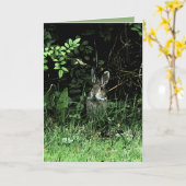 Het Konijn van de broer Kaart (Gele Bloem)