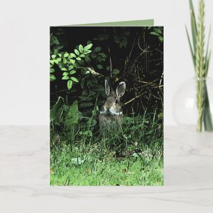Het Konijn van de broer Kaart