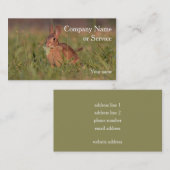 Het konijn van het katoenstaartkonijn visitekaartje (Voorkant / Achterkant)