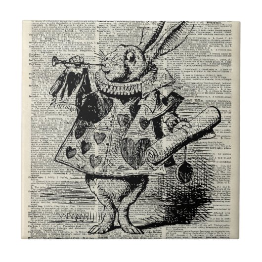 Het konijn Whitte Tegeltje (Voorkant)