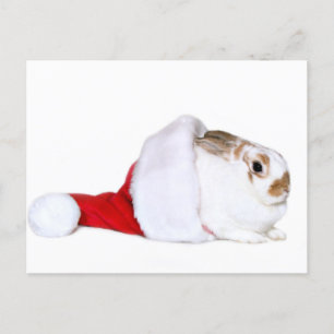 Het konijntje van Kerstmis Feestdagenkaart
