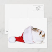 Het konijntje van Kerstmis Feestdagenkaart (Voorkant / Achterkant)