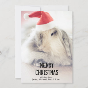 Het konijntje van Kerstmis met leuk pet Feestdagenkaart
