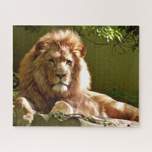 Het Koning Lion Portret, Jigzaag Puzzle Legpuzzel (Horizontaal)