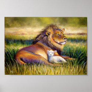 Het Koninkrijk der Hemden Poster