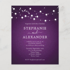 Het Koord van de begroting verlicht het Paarse Wed