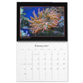 Het koraalrif-kalender kalender (Feb 2027)