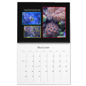 Het koraalrif-kalender kalender (Mar 2026)