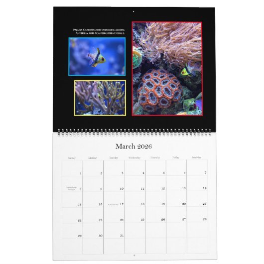 Het koraalrif-kalender kalender (Mar 2026)