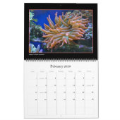 Het koraalrif-kalender kalender (Feb 2026)