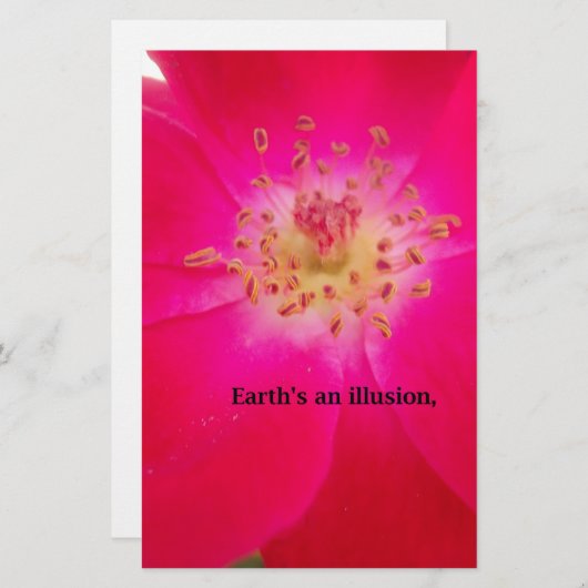 Het kosmische Roos: het misleidingsontwerp van de  (Voorkant / Achterkant)