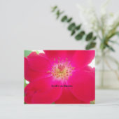 Het kosmische Roos: het misleidingsontwerp van de  Briefkaart (Staand voorkant)