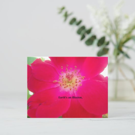 Het kosmische Roos: het misleidingsontwerp van de  Briefkaart (Staand voorkant)