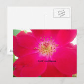 Het kosmische Roos: het misleidingsontwerp van de  Briefkaart (Voorkant / Achterkant)