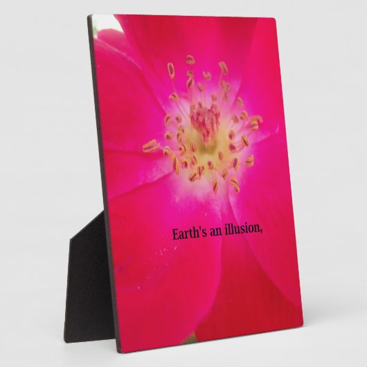 Het kosmische Roos: het misleidingsontwerp van de  Fotoplaat (Zijkant)