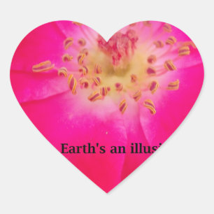 Het kosmische Roos: het misleidingsontwerp van de  Hart Sticker