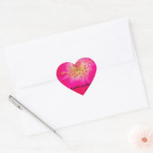 Het kosmische Roos: het misleidingsontwerp van de  Hart Sticker (Envelop)