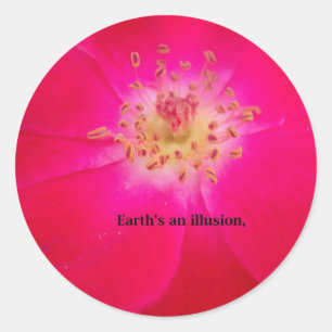 Het kosmische Roos: het misleidingsontwerp van de  Ronde Sticker