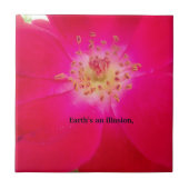 Het kosmische Roos: het misleidingsontwerp van de  Tegeltje (Voorkant)