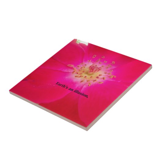 Het kosmische Roos: het misleidingsontwerp van de  Tegeltje (Zijkant)