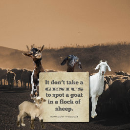 Het kost geen tijd | Cowboy Wijsheid | Zuidelijke  Stenen Onderzetter