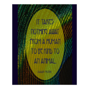 Het kost niets perfect poster