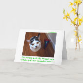 Het Kostuum van de verjaardag Kaart (Gele Bloem)