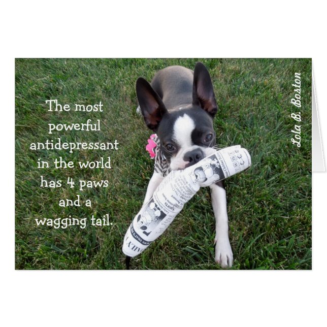 Het krachtigste antidepressivum... BLANK CARD (Voorkant Horizontaal)