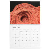 Het krijgen dicht, NBO leden Agenda #1 Kalender (Feb 2027)