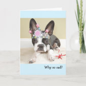 Het krijgen van de Oudere Kaart van de Verjaardag (Voorkant)