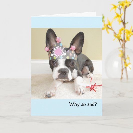 Het krijgen van de Oudere Kaart van de Verjaardag (Gele Bloem)